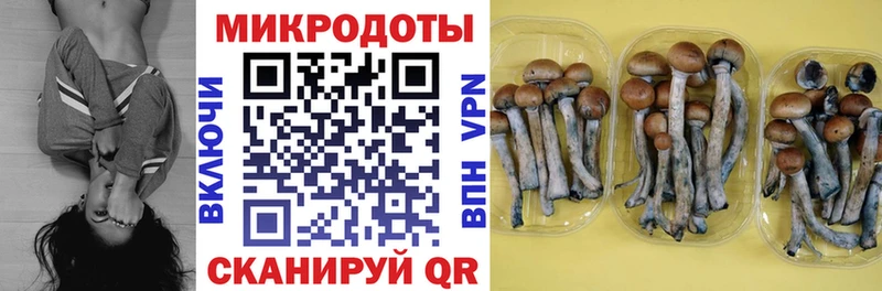 купить закладку  Острогожск  Псилоцибиновые грибы Magic Shrooms 